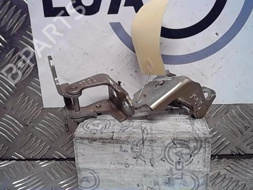 Used Hinge/Door check strap RENAULT SCÉNIC IV (J9_) [2016-2022]  14556569