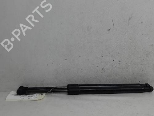 Tailgate lift support BMW 2 Coupe (F22, F87) M2 | BP16028789C138 
