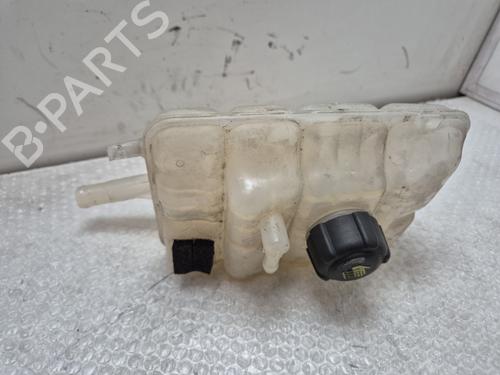 Expansion tank RENAULT MEGANE IV Hatchback (B9A/M/N_) 1.6 dCi 165 | BP26724714C120 