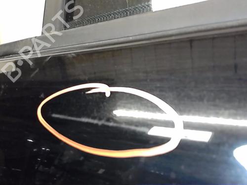 Left rear door LAND ROVER RANGE ROVER III (L322) 3.6 D 4x4 | BP20216950C4 