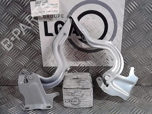 Used Hinge/Door check strap RENAULT KOLEOS II (HC_) 1.3 TCe 160 (HCN2) (158 hp) 14559171