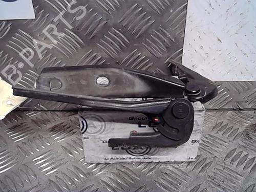 Used Hinge/Door check strap AUDI A3 (8P1) [2003-2013]  14553207