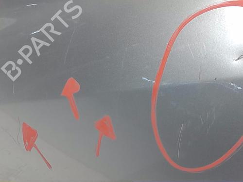 Right rear door RENAULT CLIO III (BR0/1, CR0/1)  | BP13827962C5 