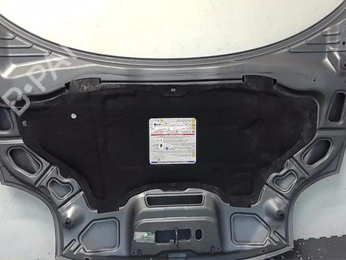 Hood ALFA ROMEO MITO (955_) 1.4 (955.AXB1B, 955.AXU1A) | BP18598645C1