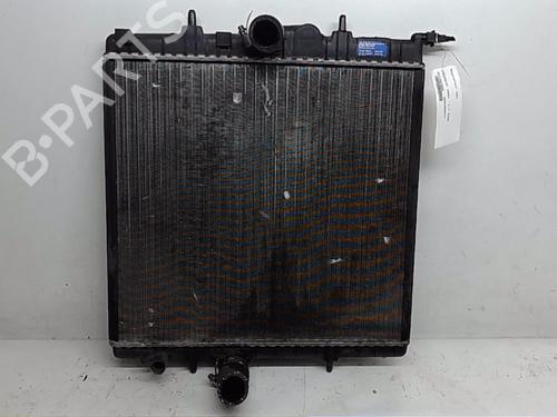 Køler PEUGEOT 206+ (2L_, 2M_) 1.1 (60 hp) 13835483