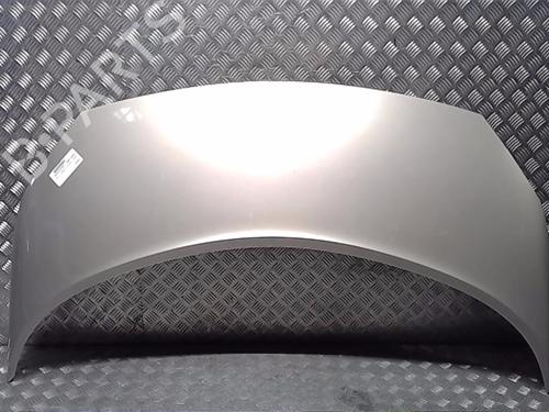 Capot RENAULT SCÉNIC II (JM0/1_) [2003-2010]  13852692