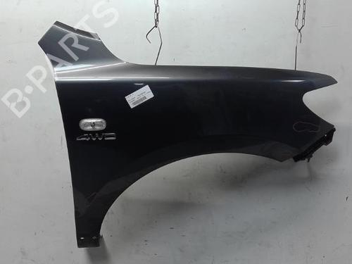Right front fenders HYUNDAI SANTA FÉ II (CM) 2.2 CRDi GLS 4x4 | BP16567714C42 