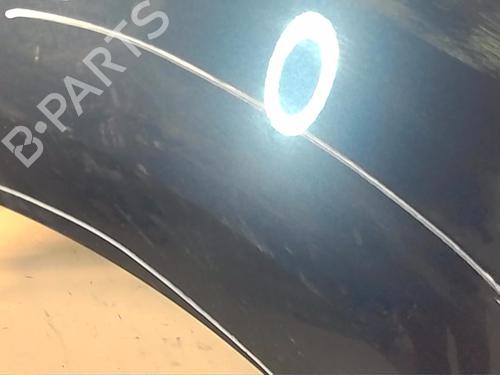 Used Right front fenders CITROËN C4 Picasso I MPV (UD_) [2006-2015]  18898163