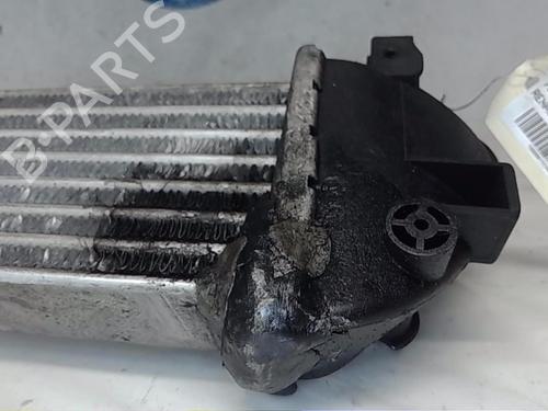 Intercooler RENAULT KANGOO Express (FC0/1_) | BP16377000M30