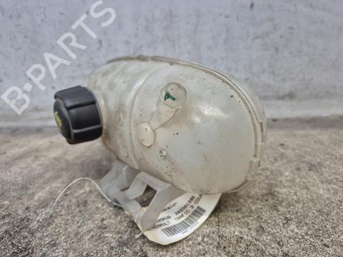 Expansion tank RENAULT TRAFIC III Van (FG_) 1.6 dCi 90 (FGME) | BP29195873C120 