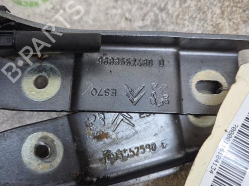 Hinge/Door check strap CITROËN DS3 (SA_) 1.4 VTi 95 | BP30714547C146
