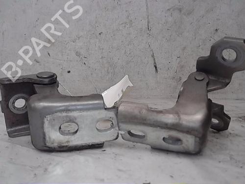 Hinge/Door check strap RENAULT MEGANE III Hatchback (BZ0/1_, B3_) 2.0 dCi (BZ0Y) 844003908R