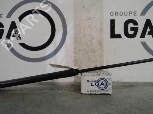 Used Hood lift support CITROËN C6 (TD_) 2.2 HDi (170 hp) 14549601