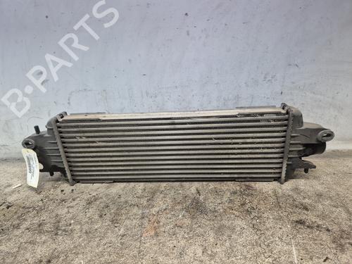 Used Intercooler RENAULT TRAFIC II Van (FL) [2001-2025]  29215135
