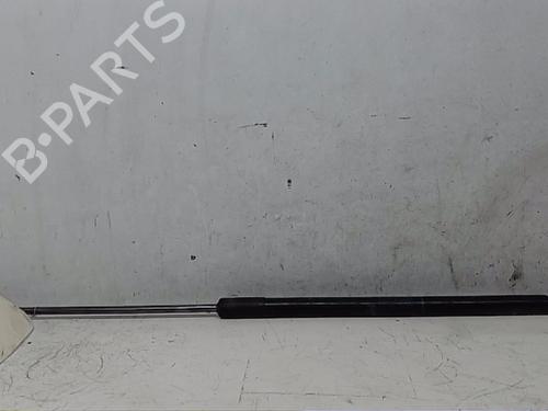 Used Hood lift support DACIA DUSTER (HS_) 1.5 dCi 4x4 (HSMC, HSMD) (110 hp) 14570495