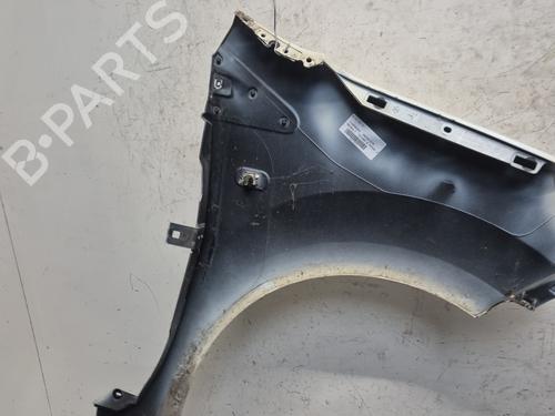 Left front fenders RENAULT TWINGO II (CN0_) 1.5 dCi 90 | BP30332266C41 