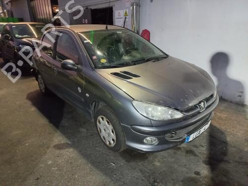 Left mirror PEUGEOT 206 Hatchback (2A/C)  | BP30447347C26 