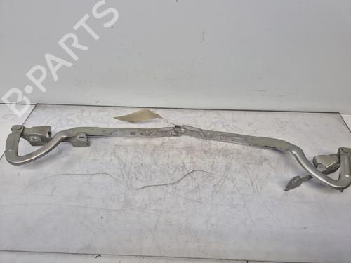 hingedoor-check-strap-peugeot-208-i-ca_-cc_-2012-2013-2014-2015-2016-2017-2018-2019-2020-2021-31819218 main image