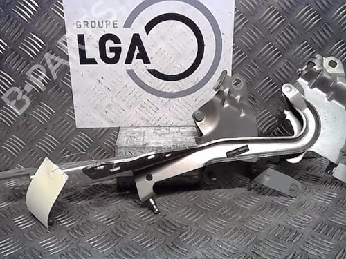 Used Hinge/Door check strap RENAULT SCÉNIC III (JZ0/1_) 1.6 dCi (JZ00, JZ12) (130 hp) 14559261