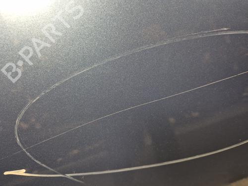 Right rear door NISSAN MICRA III (K12) 1.2 16V | BP26570245C5 