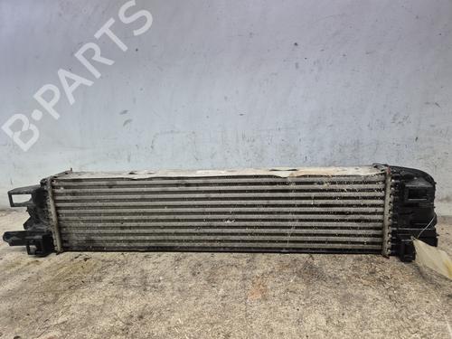 Intercooler RENAULT TRAFIC III Van (FG_) 1.6 dCi 90 (FGME) | BP29215144M30 