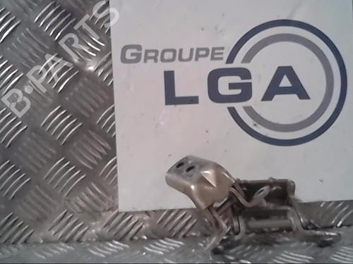 Charnière/Limiteur de porte RENAULT KADJAR (HA_, HL_) 1.5 BLUE dCi 115 (HLA6) (116 hp) 14550492