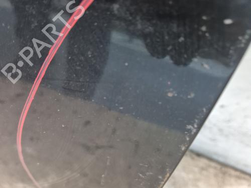 Right front door RENAULT MEGANE III Hatchback (BZ0/1_, B3_) 1.9 dCi (BZ0N, BZ0J) | BP30139667C3