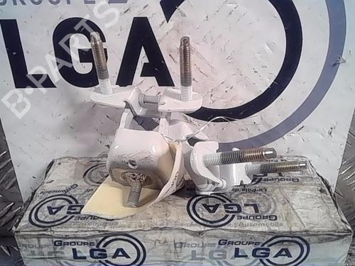 Hinge/Door check strap RENAULT SCÉNIC IV (J9_) 1.3 TCe 160 (J9NC) 904006206R