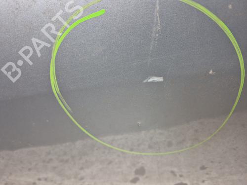 Right front door RENAULT SCÉNIC III (JZ0/1_) 1.5 dCi | BP29600960C3 