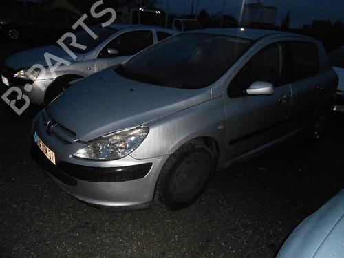 Fuel flap PEUGEOT 307 (3A/C) 2.0 HDi 90 | BP13867876C131 
