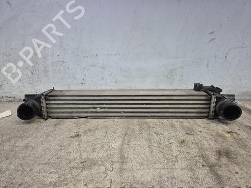 Used Intercooler FIAT QUBO (225_) [2008-2025]  29215161