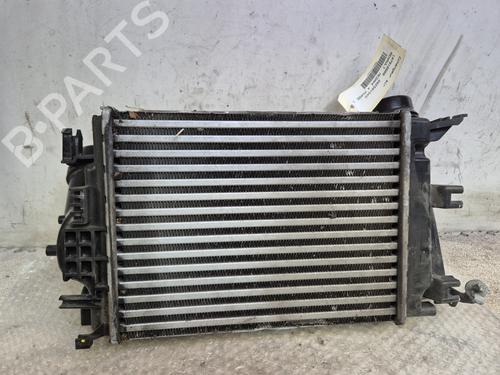 Intercooler RENAULT MEGANE IV Hatchback (B9A/M/N_) 1.6 dCi 165 | BP27095198M30 