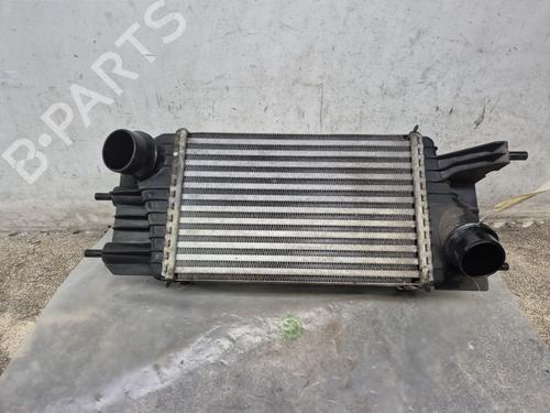 Used Intercooler NISSAN JUKE (F15) 1.5 dCi (110 hp) 30766995