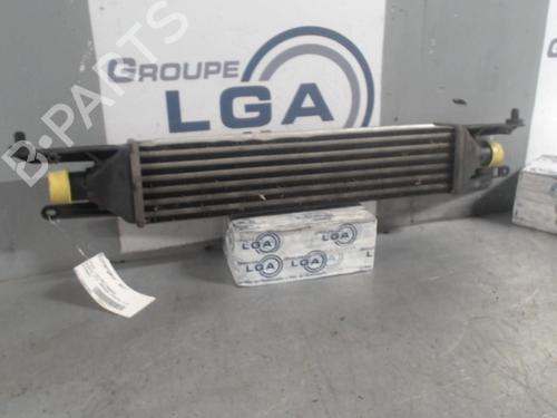 Used Intercooler FIAT GRANDE PUNTO (199_) [2005-2025]  13869582