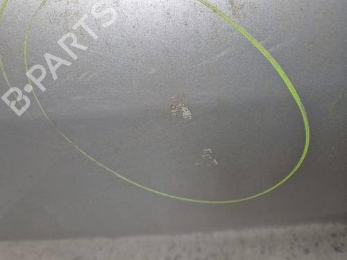 Right rear door RENAULT SCÉNIC III (JZ0/1_) 1.5 dCi | BP29600959C5 