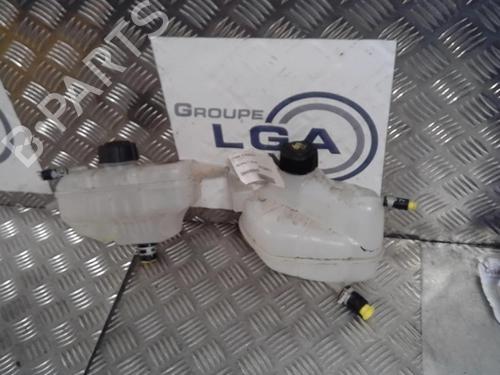 Expansion tank RENAULT KADJAR (HA_, HL_) 1.5 BLUE dCi 115 (HLA6) | BP13864034C120