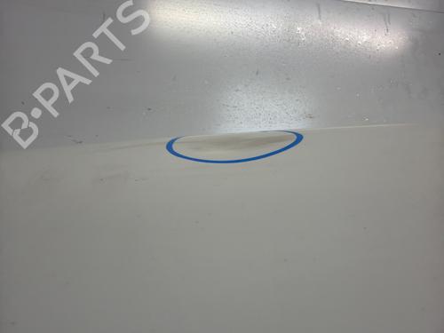 Used Left tailgate Left tailgate FIAT DOBLO Cargo (263_) [2010-2026] 39659591 39659591