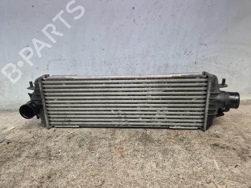 Intercooler RENAULT TRAFIC II Van (FL) | BP29215135M30