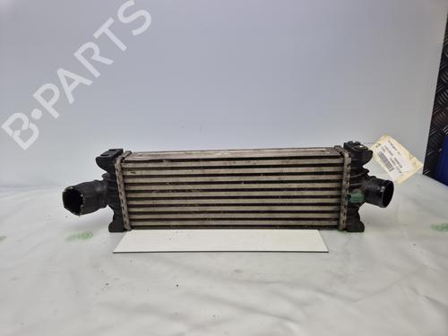 Intercooler FORD TRANSIT CUSTOM V362 Van (FY, FZ) 2.2 TDCi | BP31119271M30