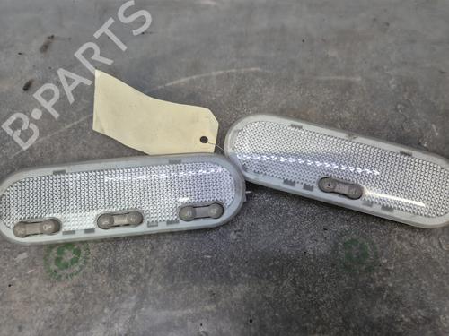 Used Interior roof light RENAULT CLIO III (BR0/1, CR0/1) 1.5 dCi (88 hp) 30867987