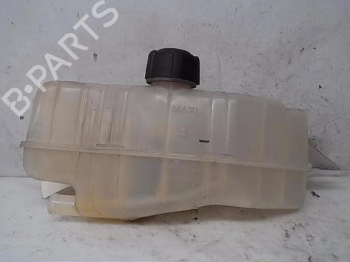 Used Expansion tank RENAULT CLIO III (BR0/1, CR0/1) 1.5 dCi (C/BR0G, C/BR1G) (68 hp) 13832527
