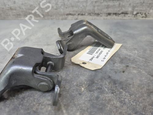 Hinge/Door check strap NISSAN QASHQAI I (J10, NJ10)  | BP30117537C146 