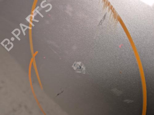 Left front door DACIA SANDERO  | BP30187724C2 