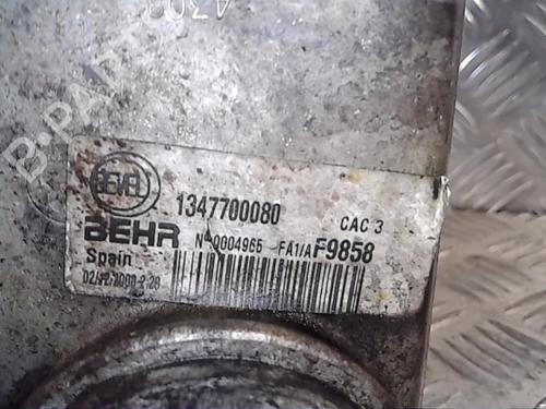 Intercooler CITROËN JUMPER II Van  | BP13860225M30 