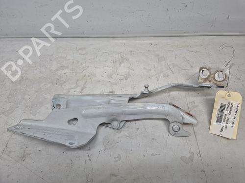 hingedoor-check-strap-renault-kangoo-express-fw01_-2008-33892911 main image