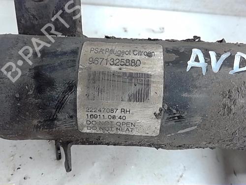 Right front shock absorber CITROËN DS3 (SA_) 1.6 HDi 110 | BP13833126M17 