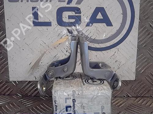 Used Hinge/Door check strap RENAULT KADJAR (HA_, HL_) 1.3 TCe 140 (HLNB, HLN1) (140 hp) 14553599