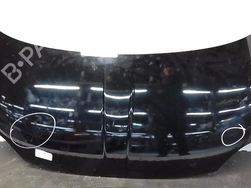 Used Hood FIAT 500 (312_) 1.3 D Multijet (312AXB1A) (75 hp) 21815177