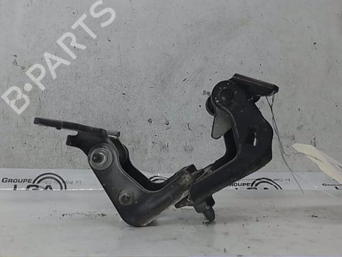 Used Hinge/Door check strap RENAULT ESPACE V (JR_) 1.6 dCi 160 (160 hp) 19308126