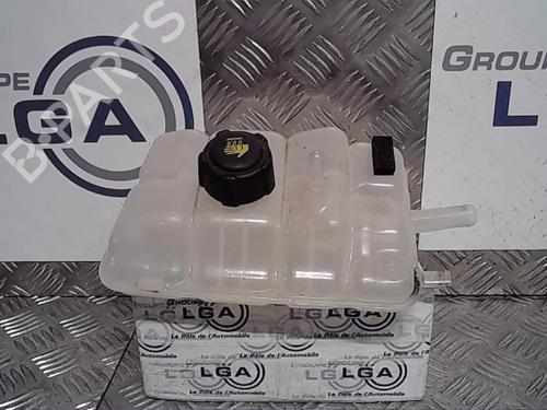Used Expansion tank RENAULT SCÉNIC IV (J9_) 1.5 dCi 110 (110 hp) 13861982